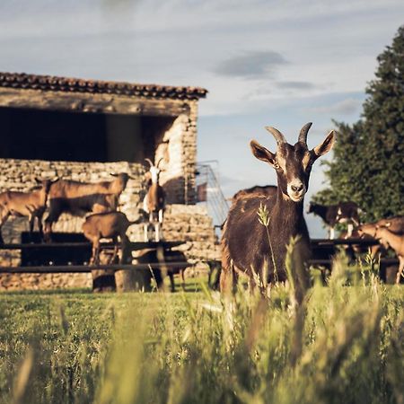 Le Domaine Du Castellas Sivergues 外观 照片