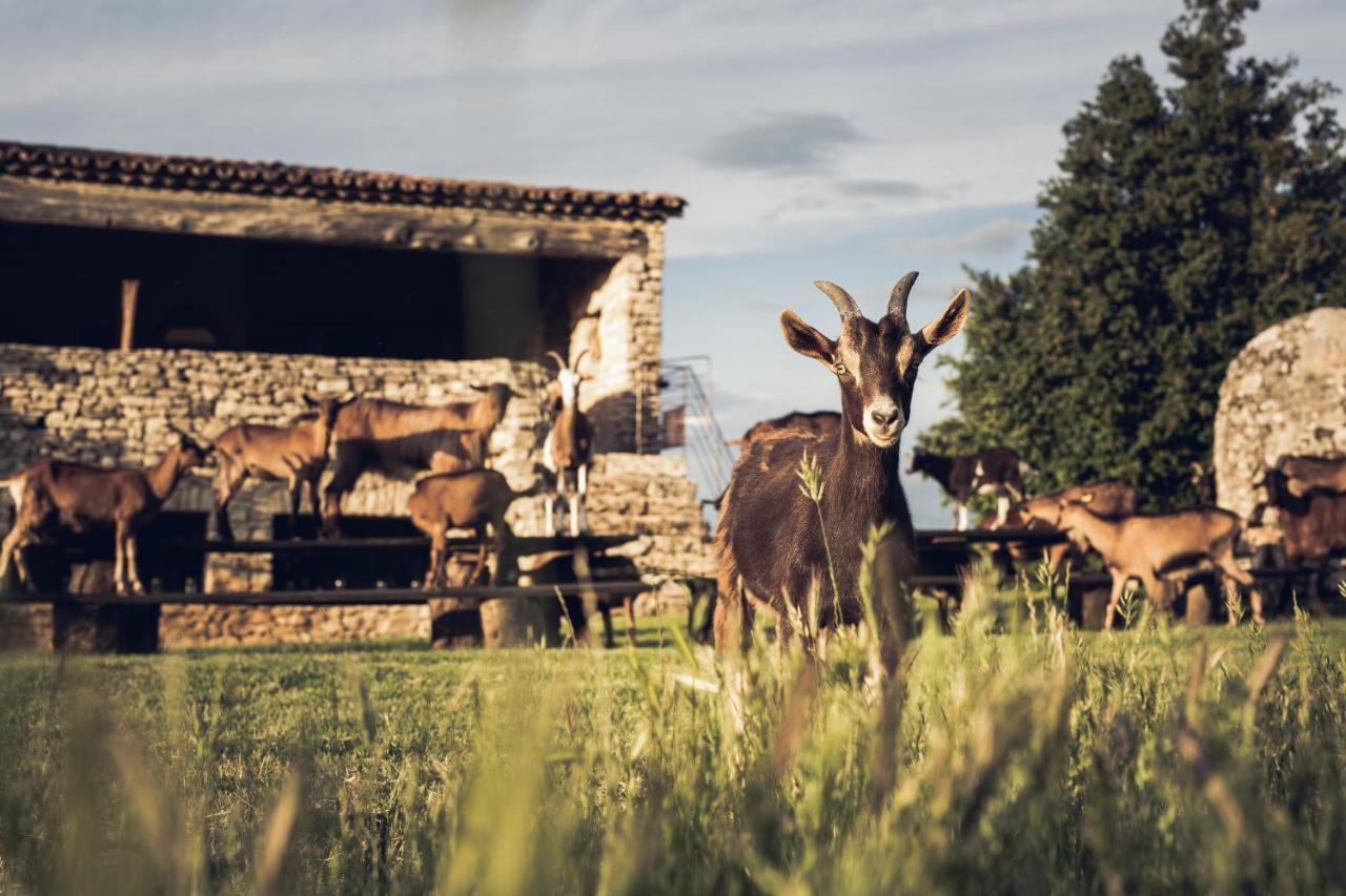 Le Domaine Du Castellas Sivergues 外观 照片